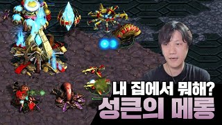 쓰레…아니 왕자님! (feat. 디바우러) [해변킴의 스타크래프트]