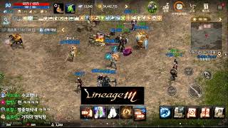 리니지m 사이하10서버 신화총사  홀로서기