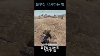 블루칩 낚시 #배틀그라운드 #배그 #pubg #게임 #shorts
