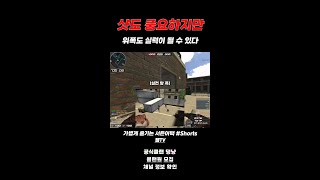 [서든어택] 여러 위폭을 연습해야 하는 이유