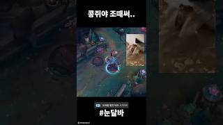 콩쥐야.. 조때써..                                                     #leagueoflegends #리그오브레전드 #wildrift