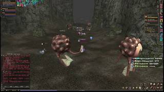 lineage2 리니지2 윈드 왕허풍혈amp제조잡이vs…