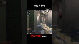 [서든어택] 랭크전 필수 총인 디알티 로얄로 질렀는데 …