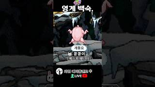 영계백숙. 메이플랜드