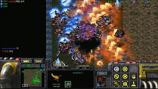 스타크래프트 역대급 마인 대박 #shorts