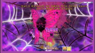 [메이플스토리] 전투력 4841만 팔라딘 하드루시드 솔…