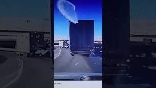 와우~~재수 좋은날 위험은 항상 따르죠.