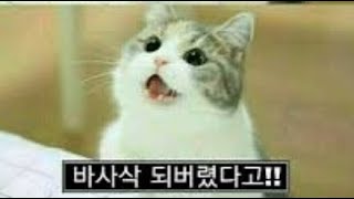 오버워치 시참 머가리 아픈데 같이 할사람??? / 디스…