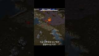 성큰사거리 버그 #게임 스타크래프트