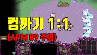 스타크래프트] 컴퓨터와 1대1을 해봤습니다 (초보 주의)