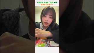 시요밍의 감성적인 메이플 스토리 #qwer #냥뇽녕냥 …