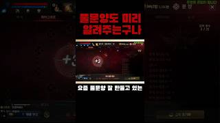 [리니지m] 풀문양 확정도 미리 알려주네요.  참고참고…