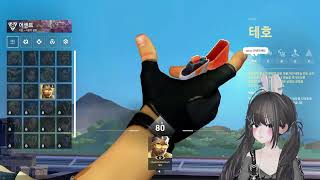 20250727 발로란트 솔큐 / 배틀그라운드 /우애안…