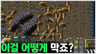 지상은 리버 공중은 발키리ㅋㅋㅋ｜러블리즈 블러드 [스타…