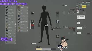 Mindori 배틀그라운드