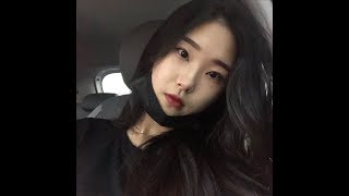 포칸투견족보리니지진아님데이터분석