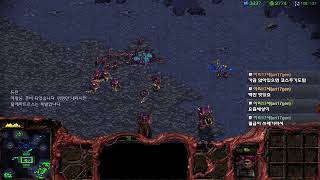 스타크래프트 브루드워 저그 캠페인2