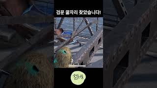 에란겔 검문다리 꿀자리 찾았습니다!! #배그 #배틀그라운드 #pubg #사녹의맹수 #에란겔 #shorts
