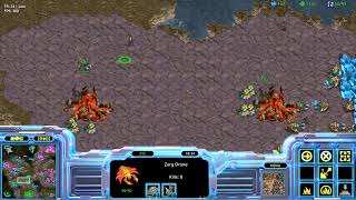 KaiDo_1412의 스타크래프트 평범한 일요일 방송