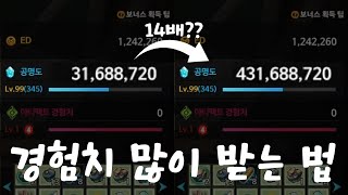 엘소드 경험치 세팅 던전 추천 [엘소드]