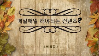 매일매일 해야하는 컨텐츠는 어떤게 있을까?[메이플스토리M]