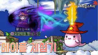 이 겜 뉴비인데 이렇게 하는거 맞아요? - 메이플 스토리(Maple Story)