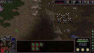 24.07.18 우주최강우뢰매의 스타크래프트 방송~!@