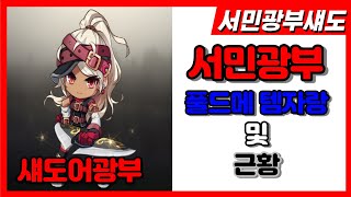 메이플스토리 서민광부 템자랑 및 근황(메이플스토리,풀드메,광부)