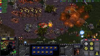 스타크래프트 유즈맵 베트남 전쟁 -베트콩 게릴라-