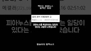 핵쓰는 피아누스 쌀먹단 등장 #메이플랜드 #메이플스토리