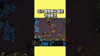 다크 침입해서 일꾼 견제하기 #스타크래프트 #프로토스 …