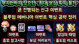 [메이플스토리 맑음] 부지런하지 않으면 최대 보상 획득 불가! /…